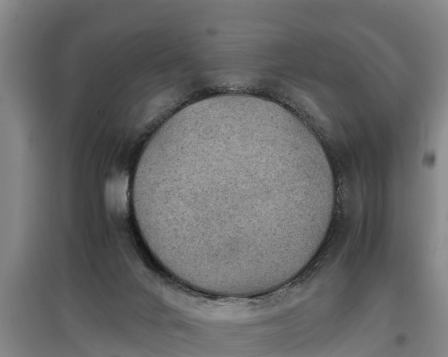 X0000097460024200802291246