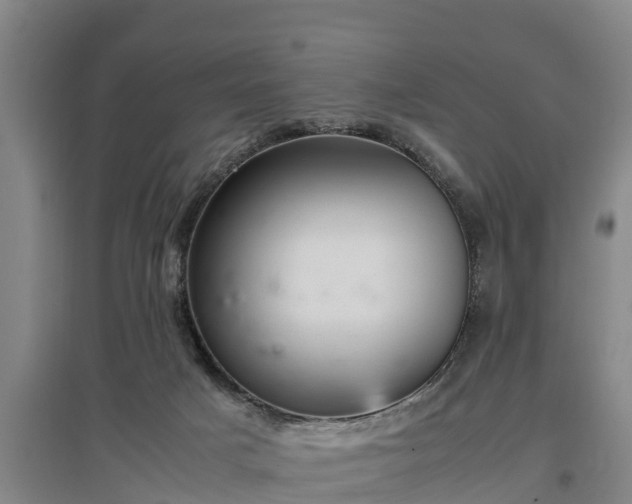 X0000097460025200802291246