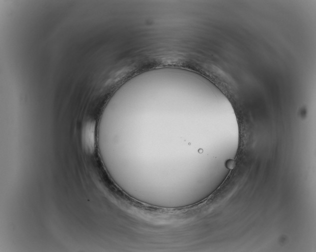 X0000097460028200802291246