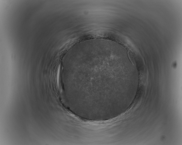 X0000097460029200802291246