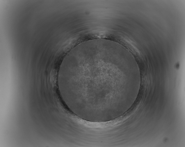 X0000097460030200802291246