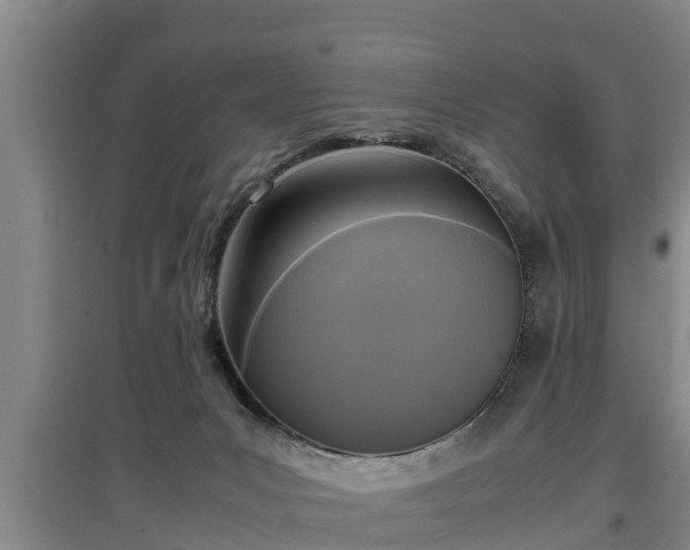 X0000097460031200802291246