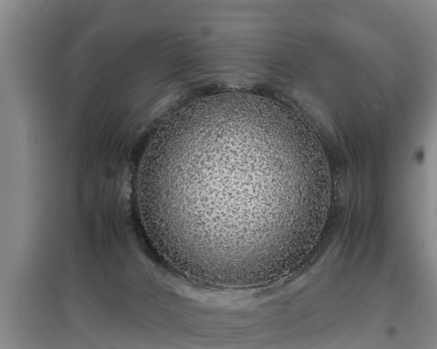 X0000097460032200802291246