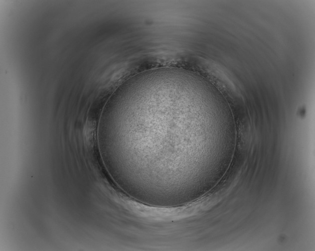 X0000097460034200802291246