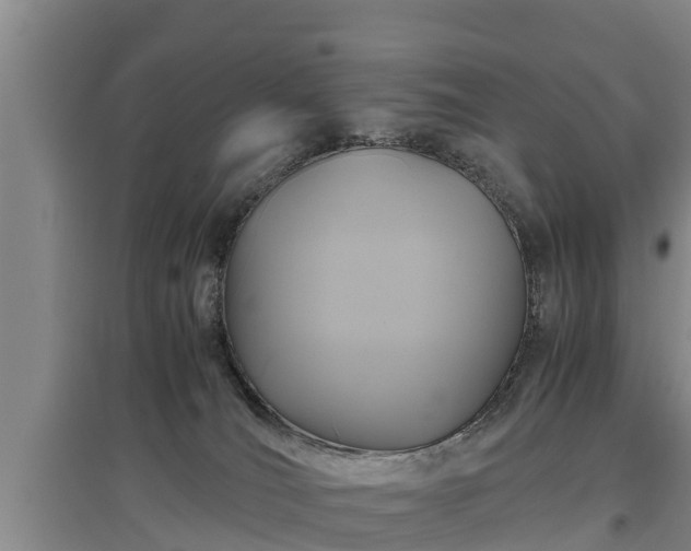 X0000097460036200802291246