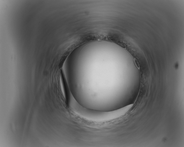 X0000097460037200802291246