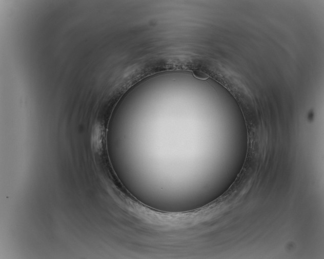 X0000097460038200802291246