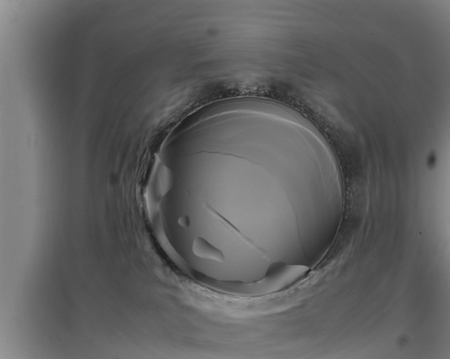 X0000097460039200802291246