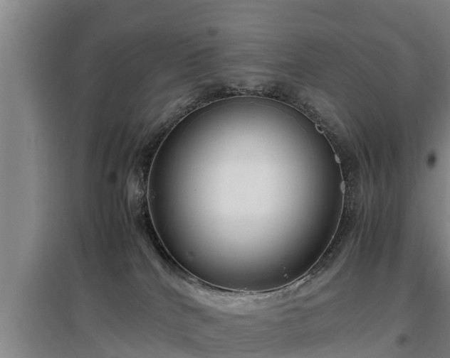 X0000097460040200802291246