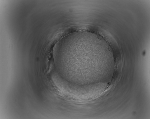 X0000097460041200802291246