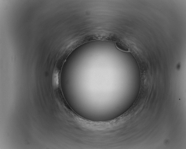 X0000097460042200802291246