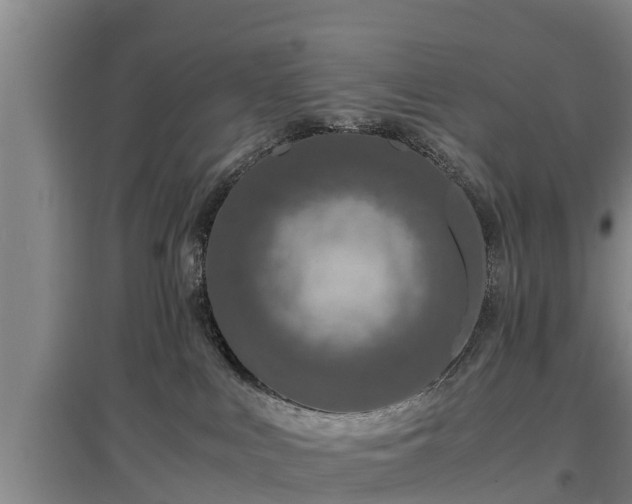 X0000097460043200802291246