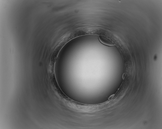 X0000097460044200802291246