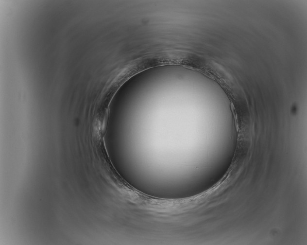 X0000097460045200802291246