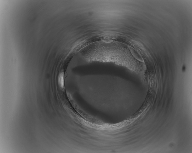 X0000097460046200802291246