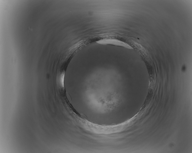 X0000097460047200802291246