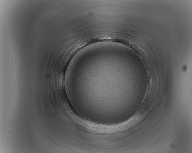 X0000097460048200802291246