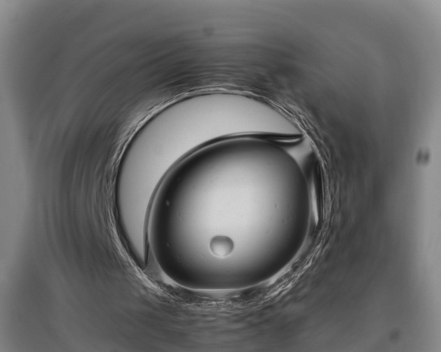 X0000097460049200802291245