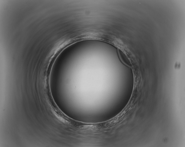 X0000097460050200802291245