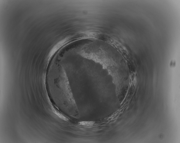 X0000097460051200802291245