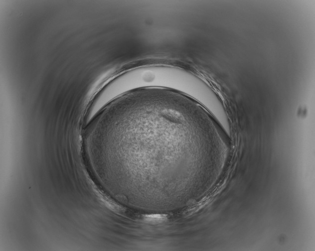 X0000097460053200802291245