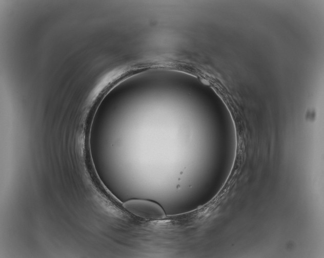 X0000097460054200802291245