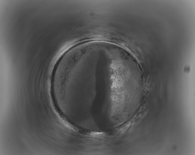 X0000097460055200802291245