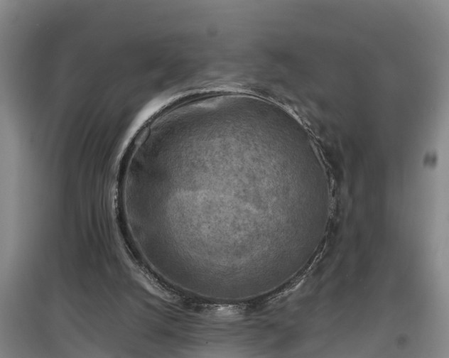 X0000097460056200802291245