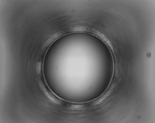 X0000097460057200802291245