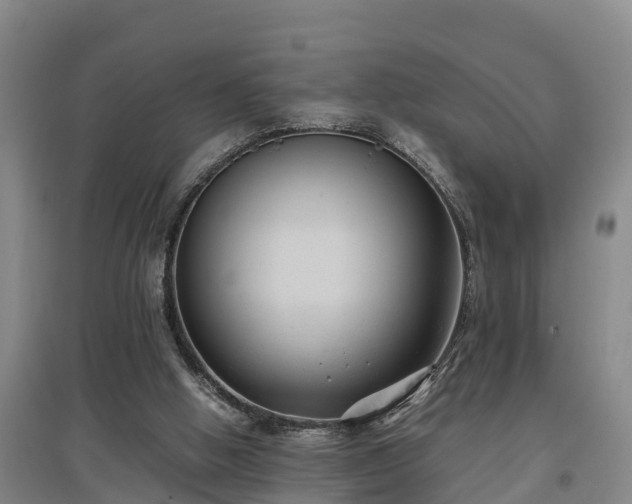 X0000097460058200802291245