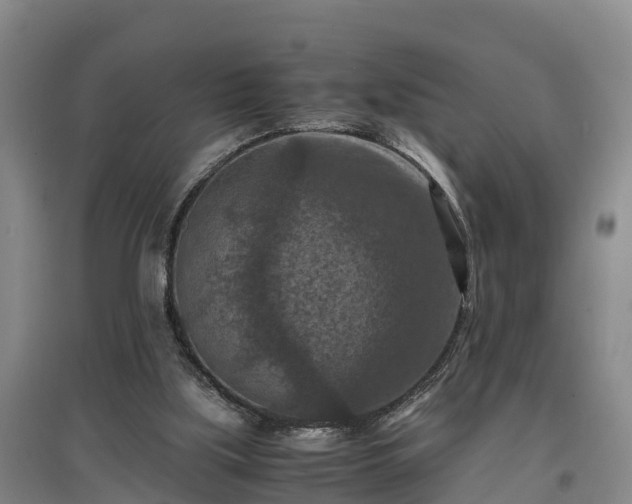 X0000097460059200802291245