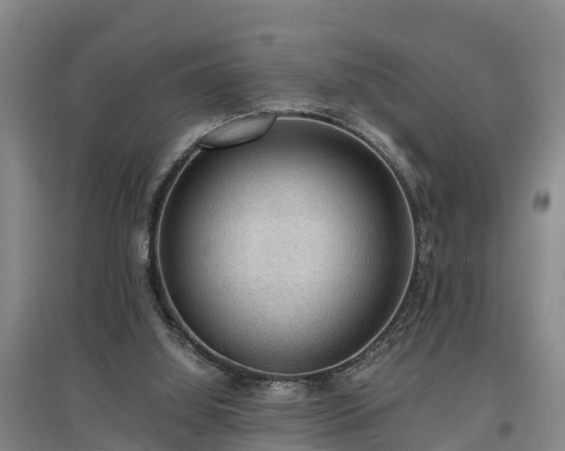 X0000097460060200802291245