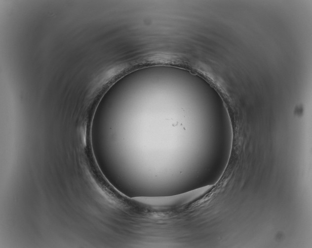 X0000097460062200802291245