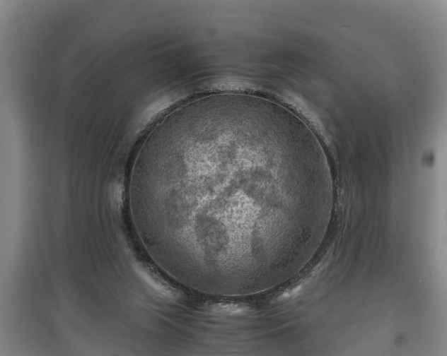 X0000097460063200802291246