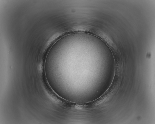 X0000097460064200802291246