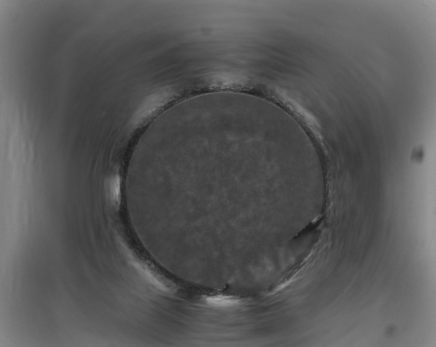 X0000097460067200802291246