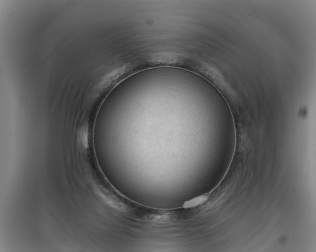 X0000097460068200802291246