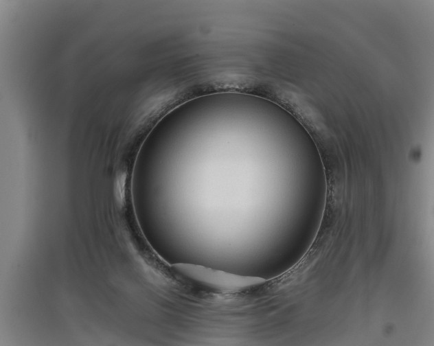 X0000097460070200802291246