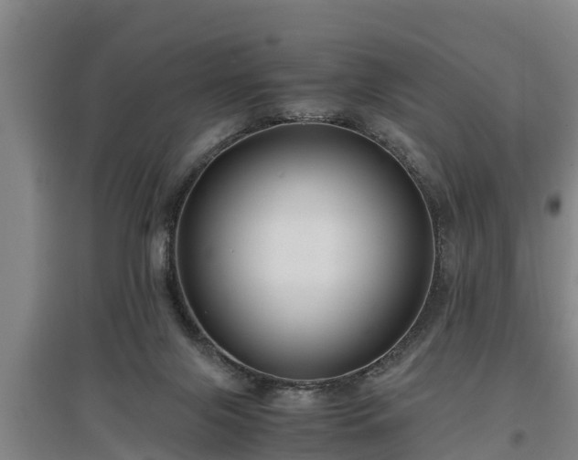 X0000097460071200802291246