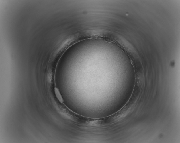 X0000097460072200802291246