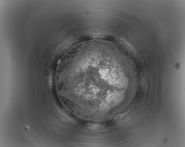 X0000097460074200802291246