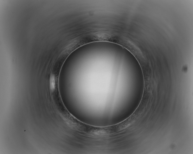 X0000097460075200802291246