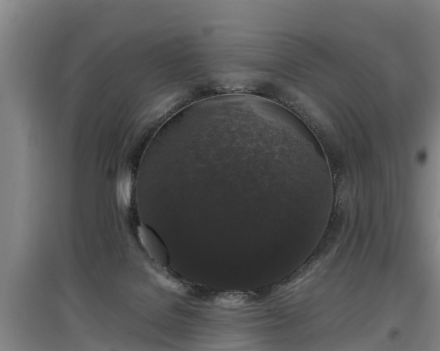 X0000097460076200802291246