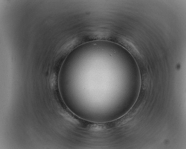 X0000097460077200802291246