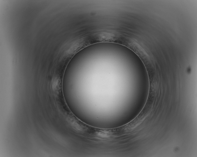 X0000097460079200802291246