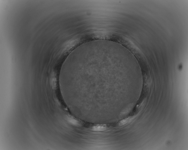 X0000097460080200802291246