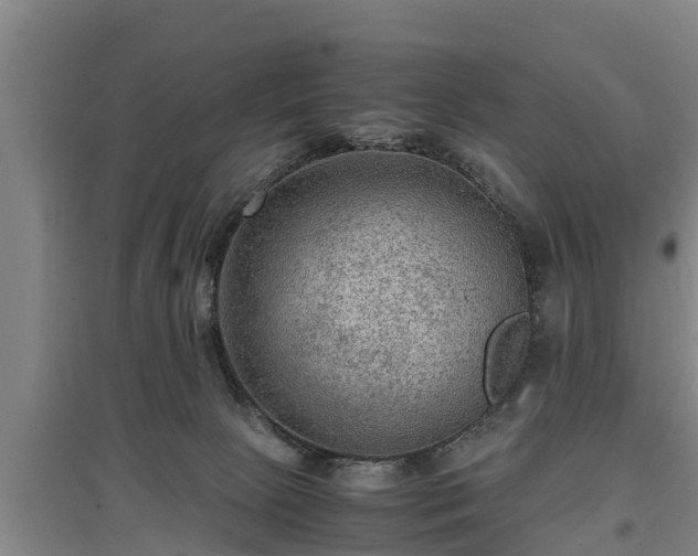 X0000097460081200802291246