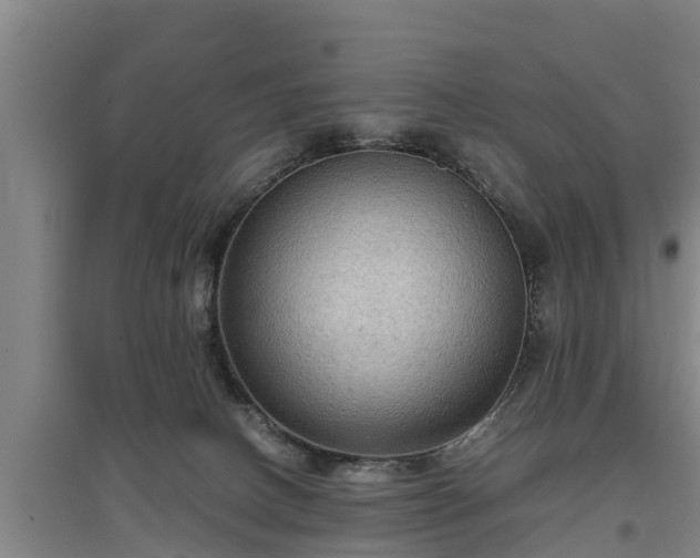 X0000097460082200802291246