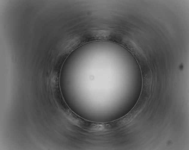 X0000097460083200802291246