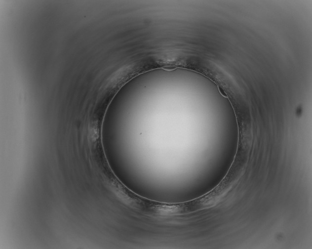 X0000097460085200802291246